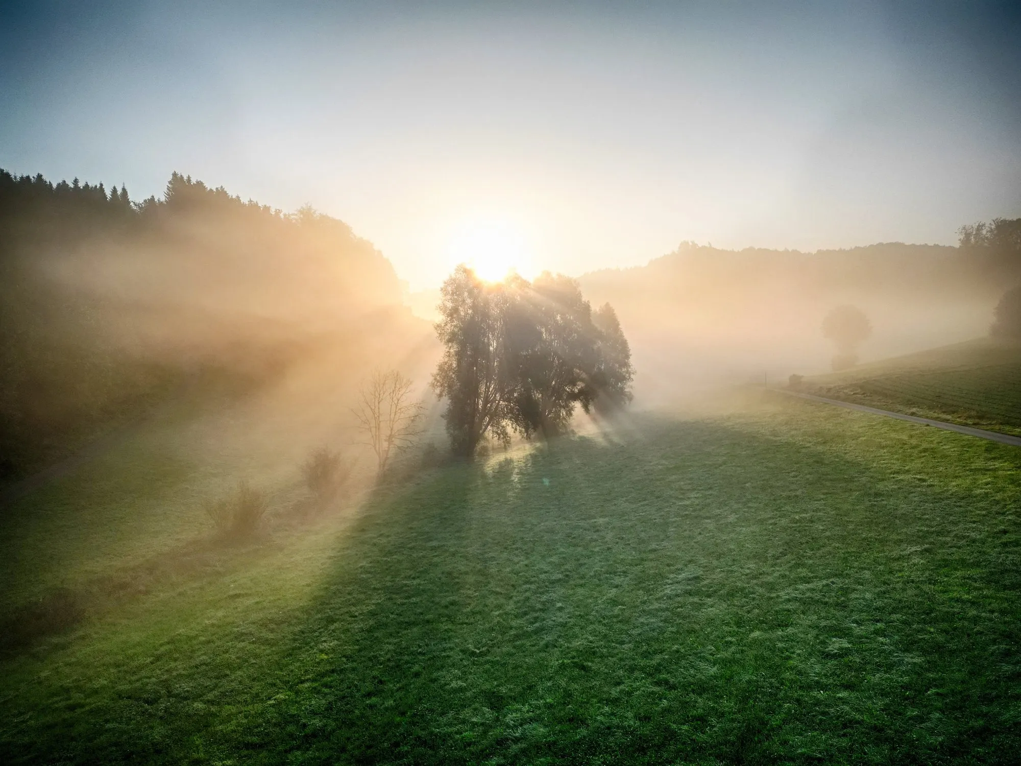 Goldener Morgennebel über einem Baum und den Feldern bei Pfaffnau